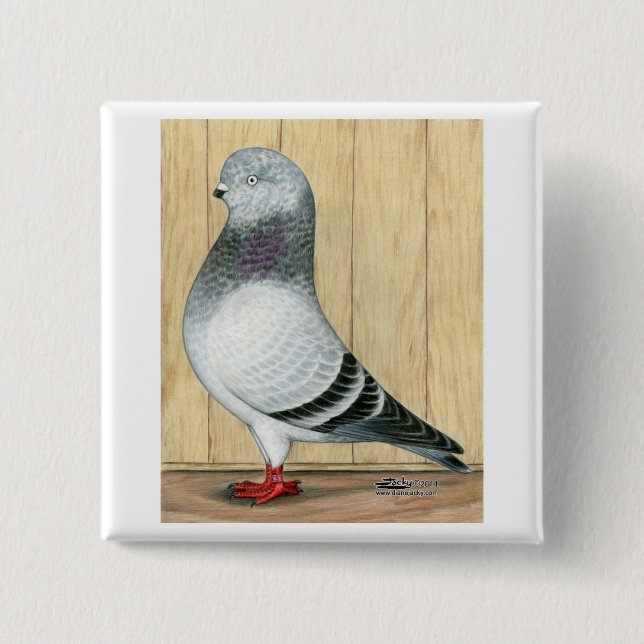 Canadian Show Tippler Pigeon Blue Grizzle Pinback Button (Front)