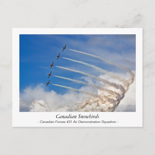 Canadian Snowbirds postcard (Front)