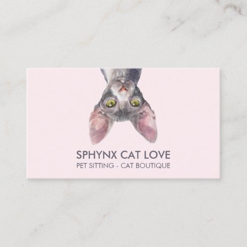 Canadian Sphynx Cat Business Card