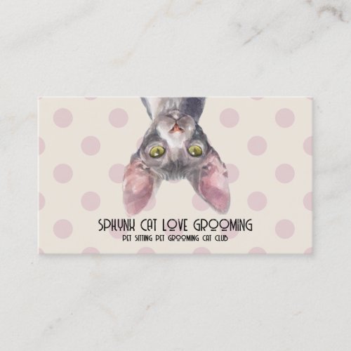 Canadian Sphynx Cat Dot Pattern Business Card