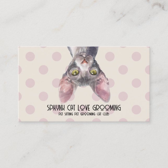 Canadian Sphynx Cat Dot Pattern Business Card (Front)
