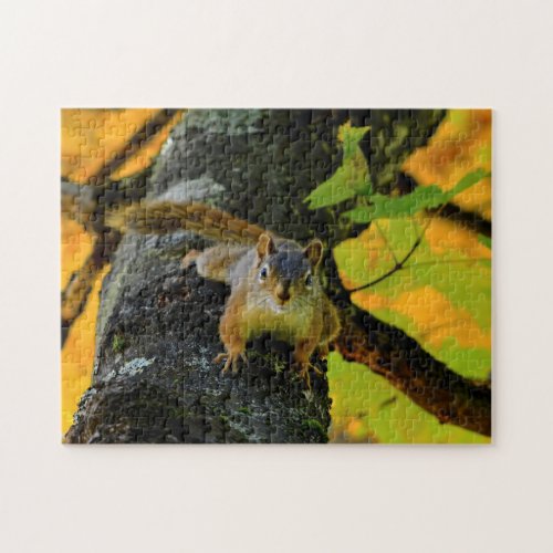 Canadian Squirrels Jigsaw Puzzle