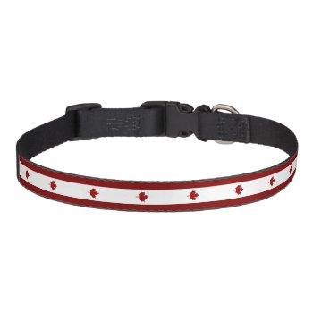 Canadian Stripes Flag Pet Collar by Pir1900 at Zazzle