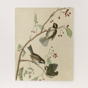 Canadian Titmouse from Audubon's Birds of America Jigsaw Puzzle
