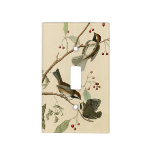 Canadian Titmouse from Audubon's Birds of America Light Switch Cover