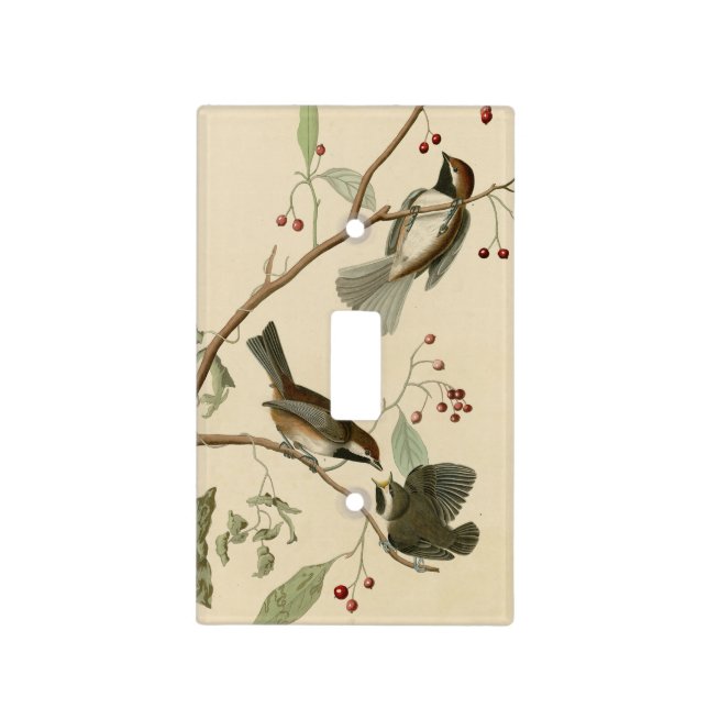 Canadian Titmouse from Audubon's Birds of America Light Switch Cover (Front)