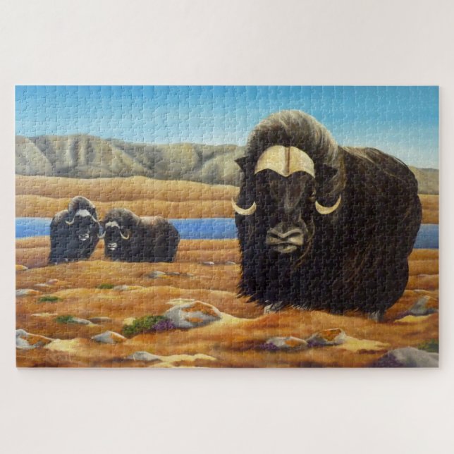 Canadian Wildlife Art Puzzles - Muskox (Horizontal)