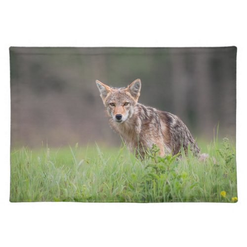 Canadian Wildlife Brown Coyote On a Field Cloth Placemat