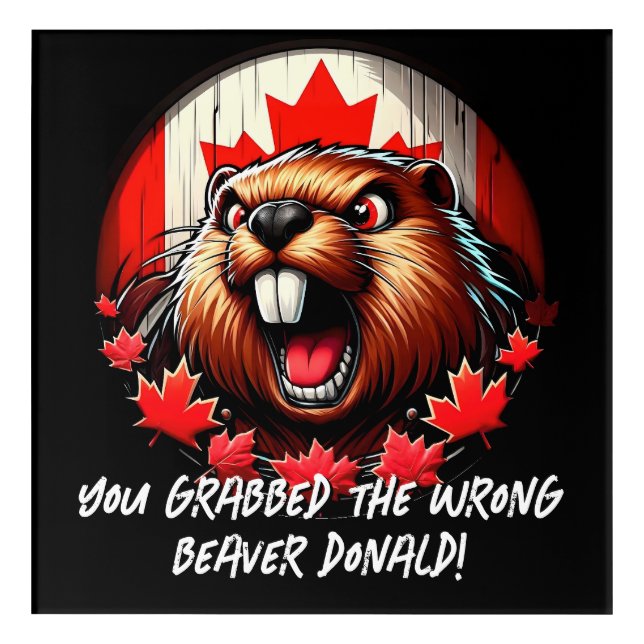 Canadian "Wrong Beaver  Donald" Trump Acrylic Print (Front)