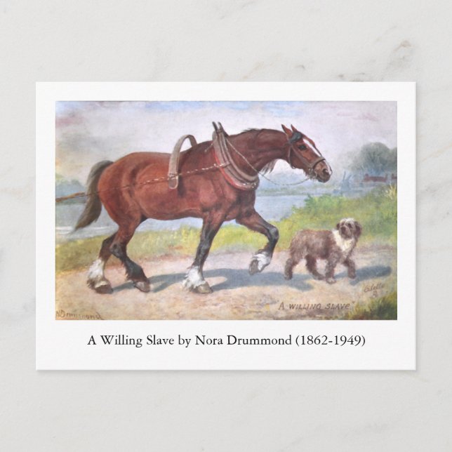 Canal barge horse and dog postcard (Front)