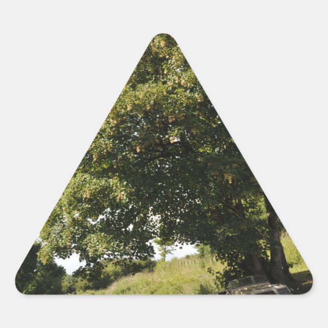 Canal Boats Triangle Sticker (Front)