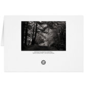 Canal, Bute Park, Cardiff, Wales (Back Horizontal)