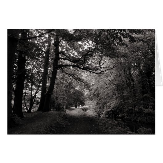 Canal, Bute Park, Cardiff, Wales (Front Horizontal)