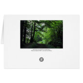 Canal, Bute Park, Cardiff, Wales (Back Horizontal)