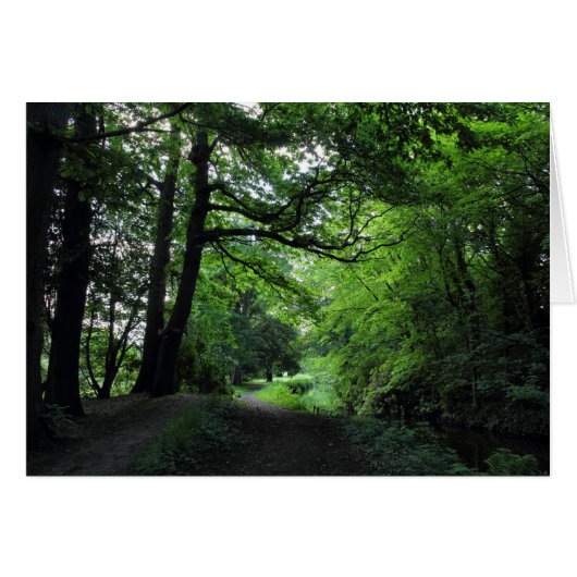 Canal, Bute Park, Cardiff, Wales (Front Horizontal)