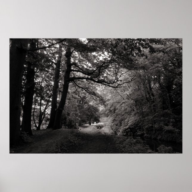 Canal, Bute Park, Cardiff, Wales Poster (Front)