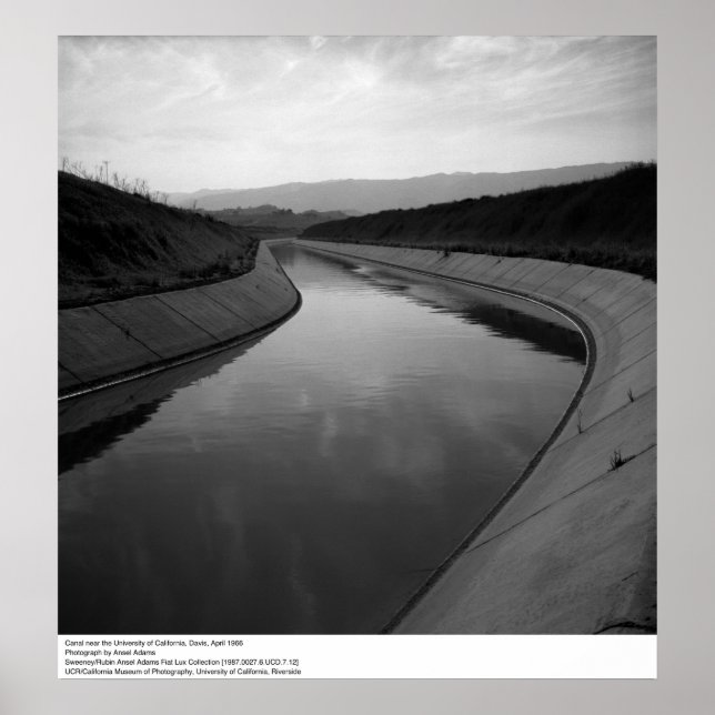 Canal near UC Davis, 1966 Poster (Front)