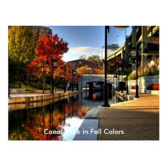 Canal Walk in Fall Colors Postcard