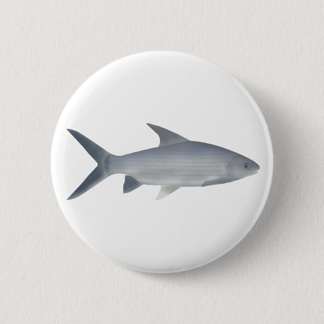 Canara Barb Button (Front)