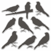 Canary Bird Silhouette Stickers