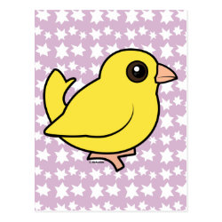 Domestic Canary Postcard