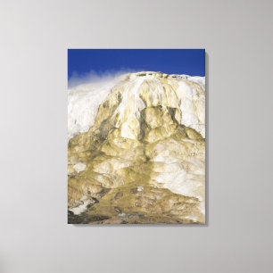 Canary Spring, Mammoth Hot Springs, Yellowstone Na Canvas Print