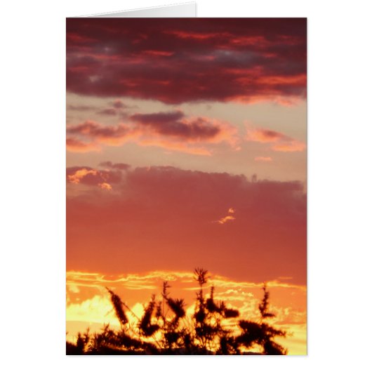 Canberra, Australia sunset. Cards (Front)