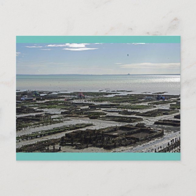 Cancale Oyster Park France Postcard (Front)