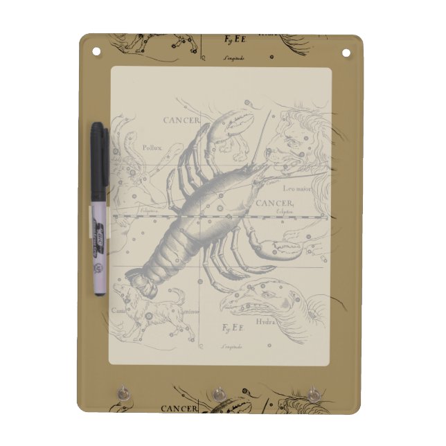 Cancer Constellation by Hevelius circa 1690 Dry-Erase Board (Front)