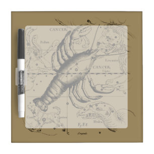 Cancer Constellation by Hevelius circa 1690 Dry-Erase Board