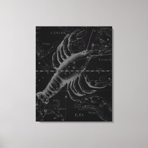 Cancer Constellation Hevelius 1690 Decor