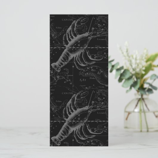 Cancer Constellation Hevelius 1690 Decor (Standing Front)