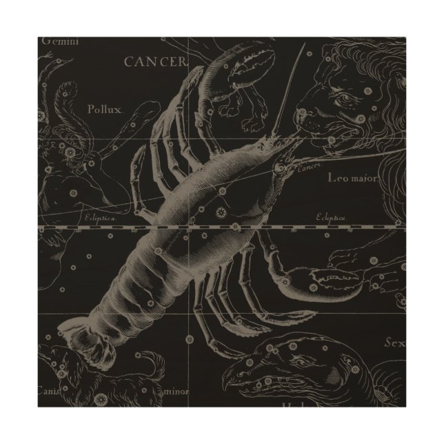 Cancer Constellation Hevelius 1690 Decor (Front)
