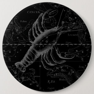 Cancer Constellation Hevelius 1690 Decor Button