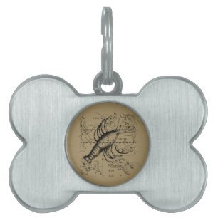 Cancer Constellation Hevelius 1690 Engaving Pet Name Tag