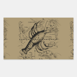 Cancer Constellation Hevelius 1690 Engaving Rectangular Sticker