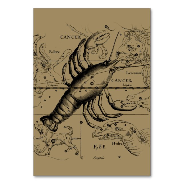 Cancer Constellation Hevelius 1690 June 21-July 22 Table Number (Front)