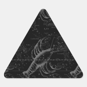 Cancer Constellation Hevelius 1690 on Black Triangle Sticker