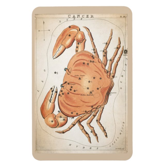 Cancer Constellation Magnet (Vertical)