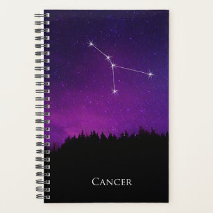 Cancer Constellation Night Sky Astrology Symbol Planner