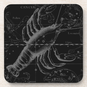 Cancer Constellation Vintage Engraving Hevelius Coaster