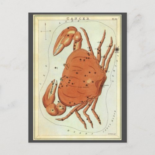 Cancer Crab Vintage Constellation Uranias Mirror Postcard