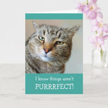 Cancer Encouragement Funny Cat Card by Therupieshop at Zazzle