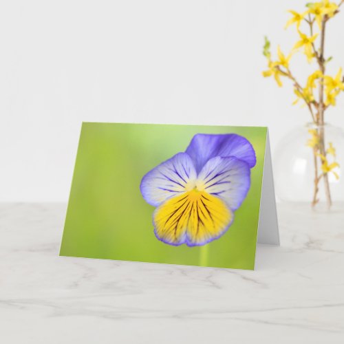 Cancer Encouragement Pansy Card