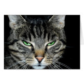 Cancer is Tough but You're Tougher Angry Cat (Front Horizontal)