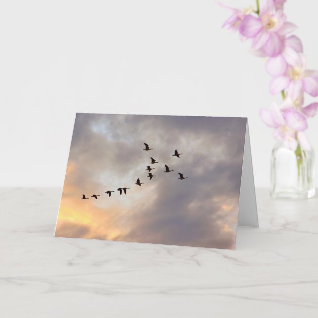 Cancer, Serious Illness Birds in Flight  Card (Orchid)