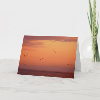 Cancer, Serious Illness Nature Bird Support Card
