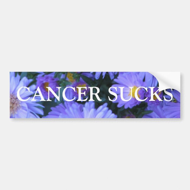 CANCER SUCKS BUMPER STICKER (Front)