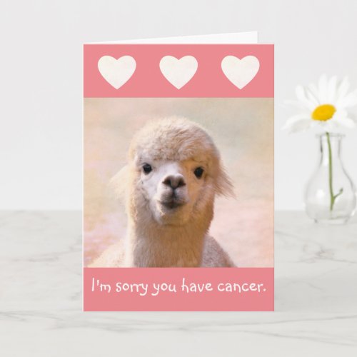 Cancer Support Cute Llama Folded Greeting Card