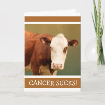 Cancer Support Funny Cow  Card by Therupieshop at Zazzle